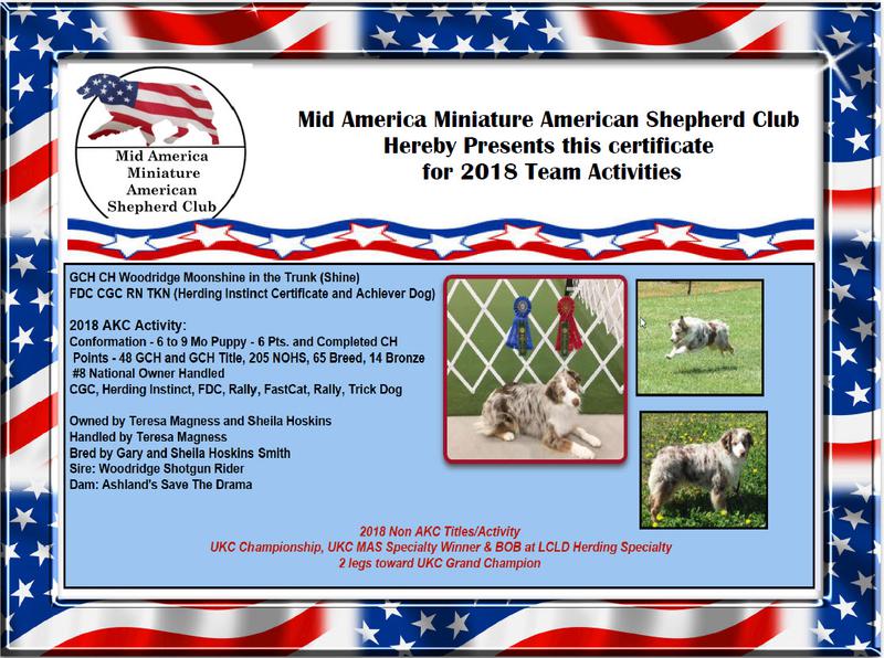 akc herding titles